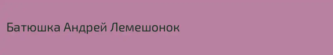 Батюшка Андрей Лемешонок